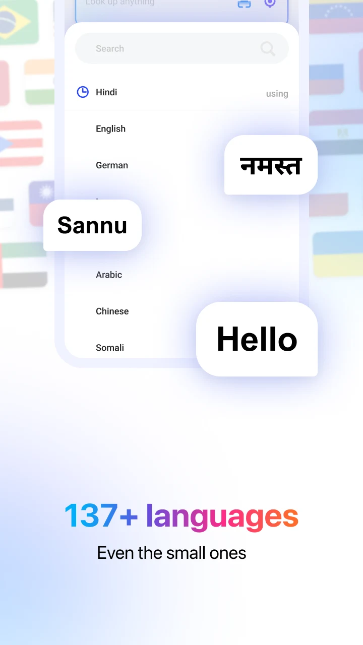 Hi Dictionary: AI Translator screenshot